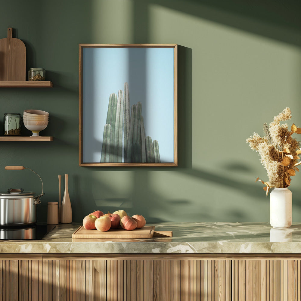 Cacti Poster
